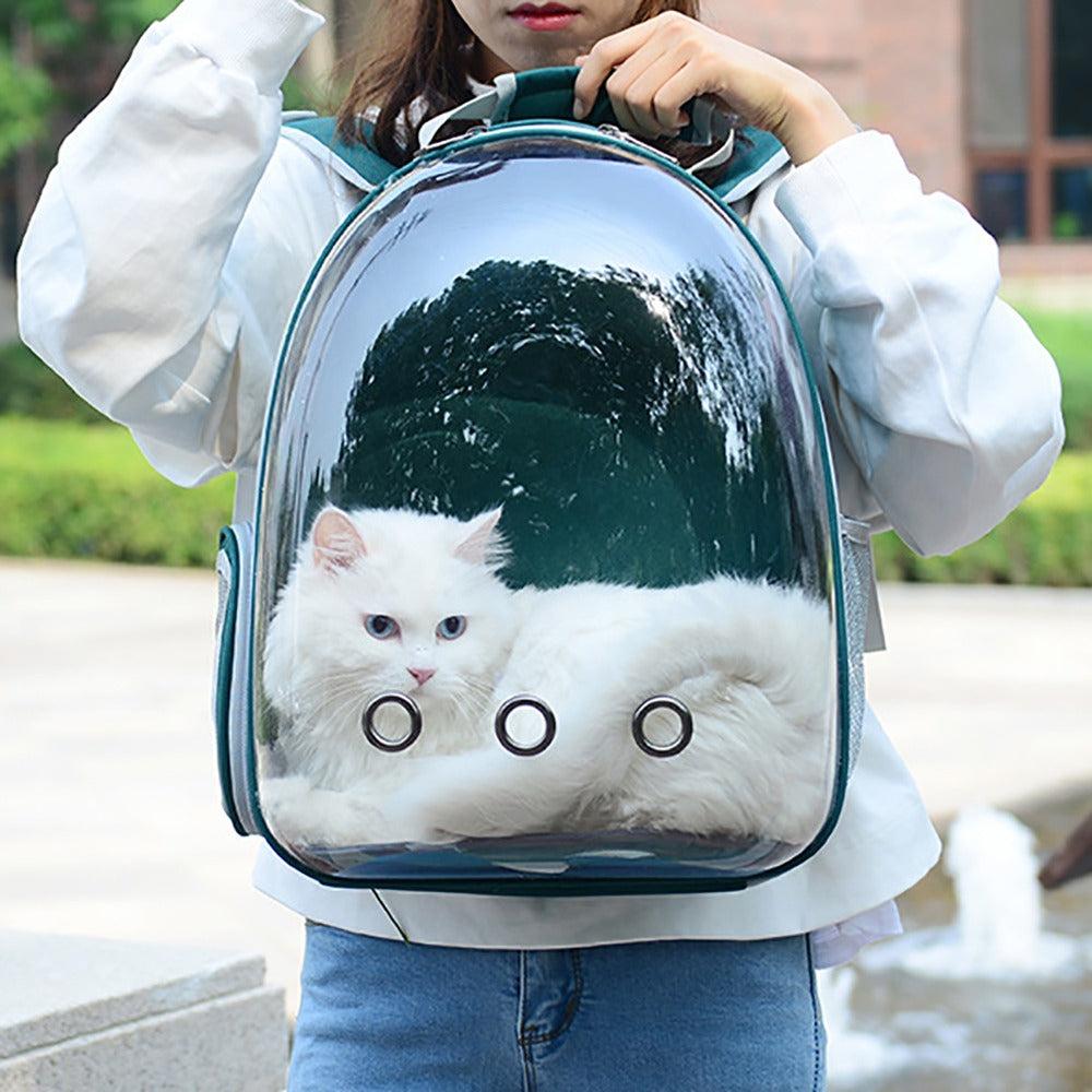 Premium cat carrier lifestyle image